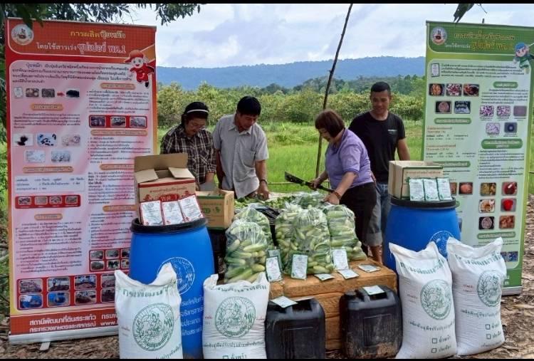 ภาพประกอบที่ 4