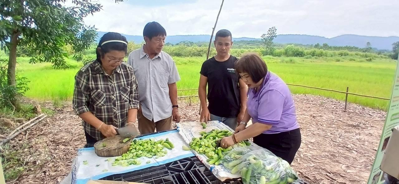 ภาพประกอบที่ 5