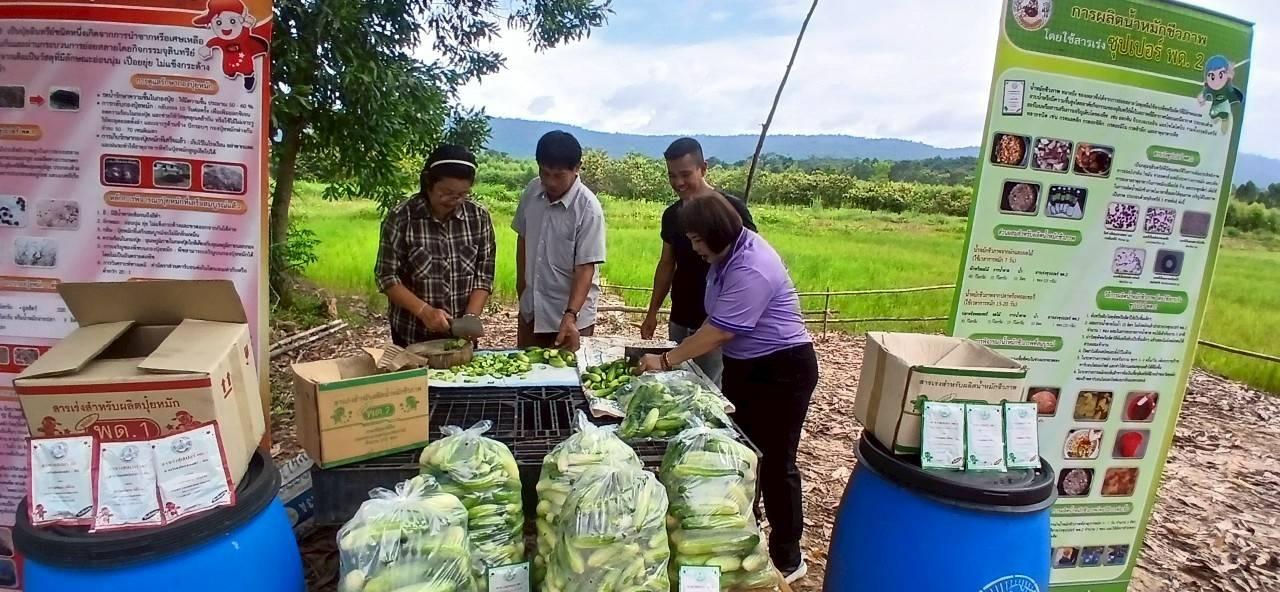 ภาพประกอบที่ 6