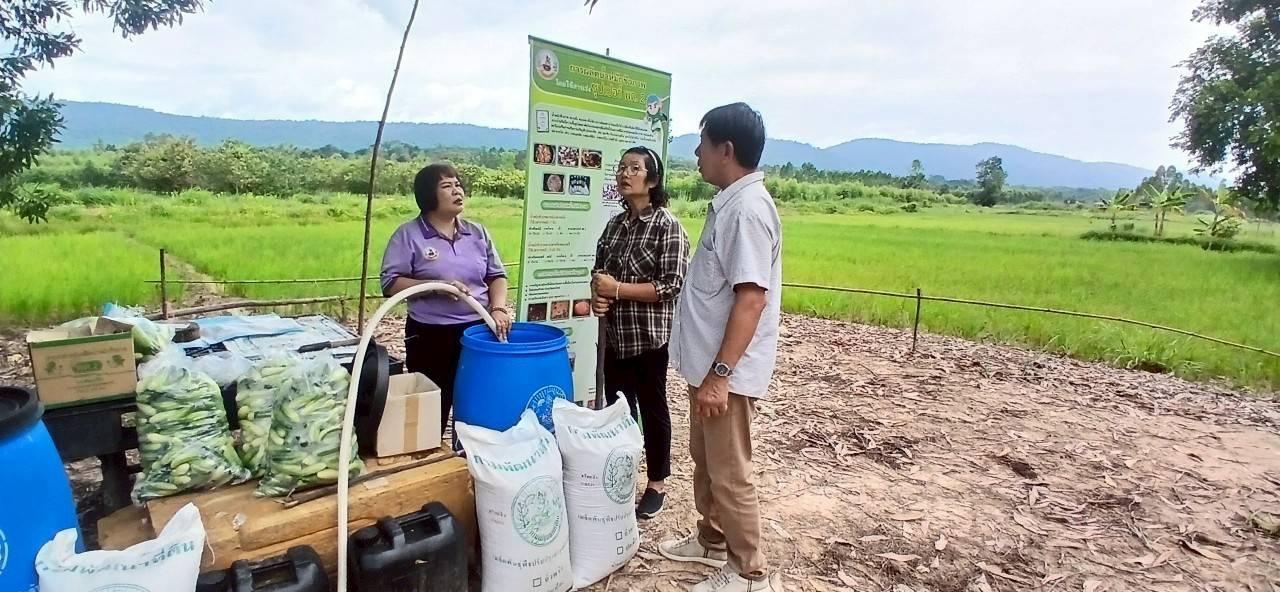 ภาพประกอบที่ 7