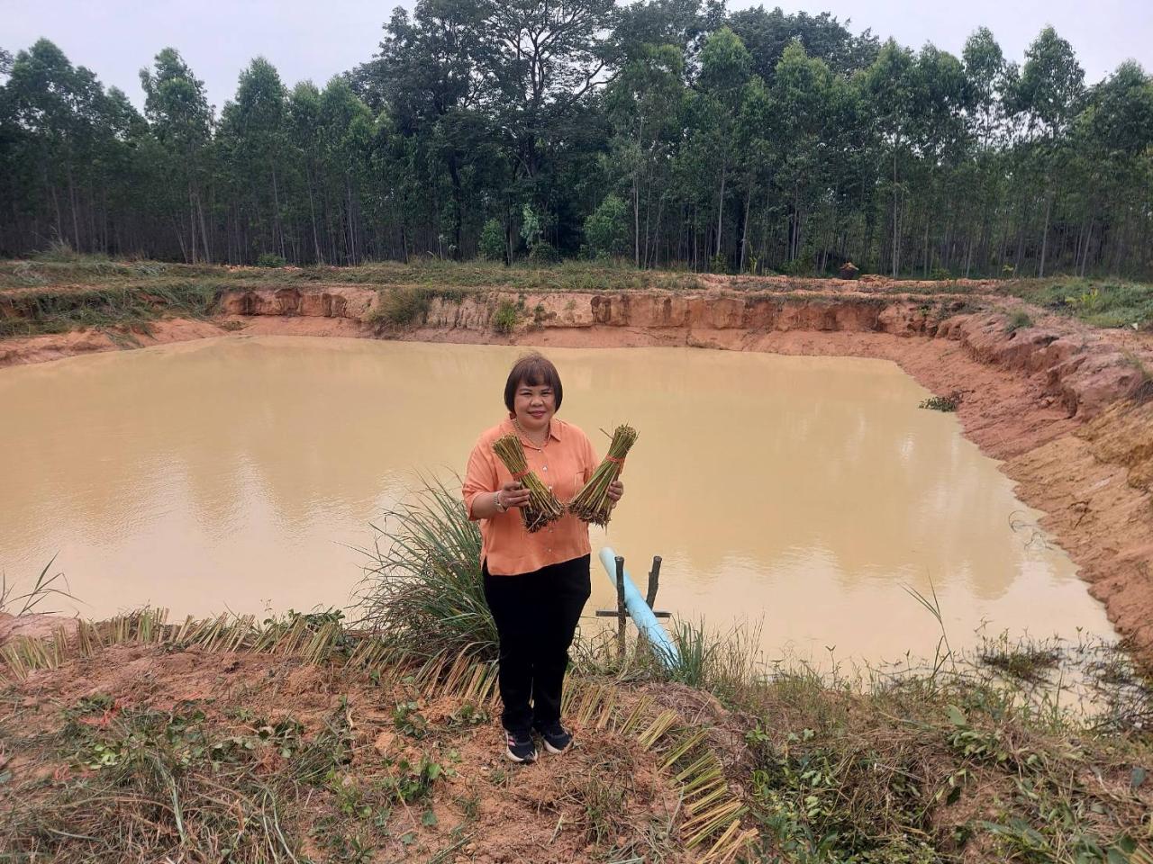 ภาพประกอบที่ 2