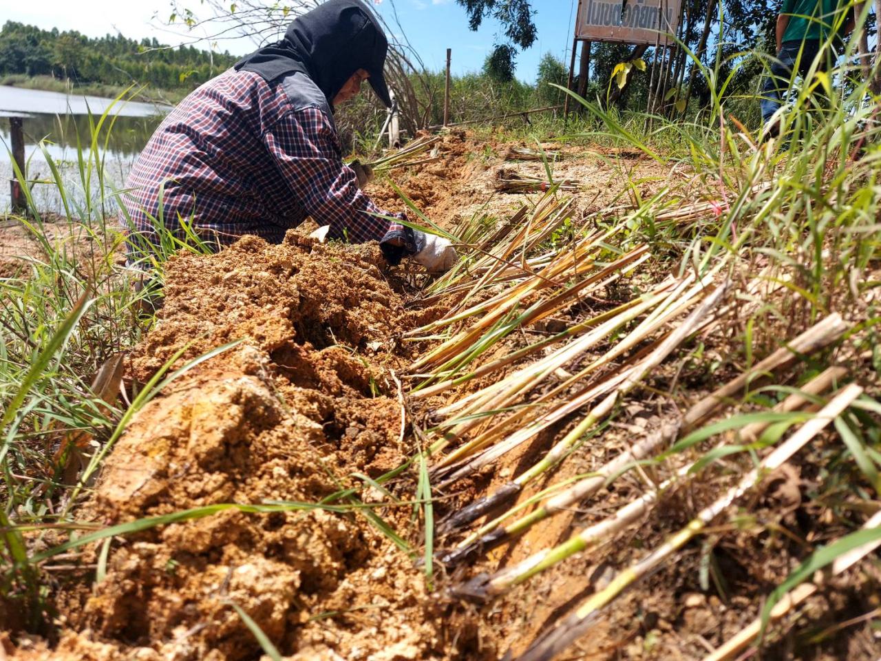 ภาพประกอบที่ 0