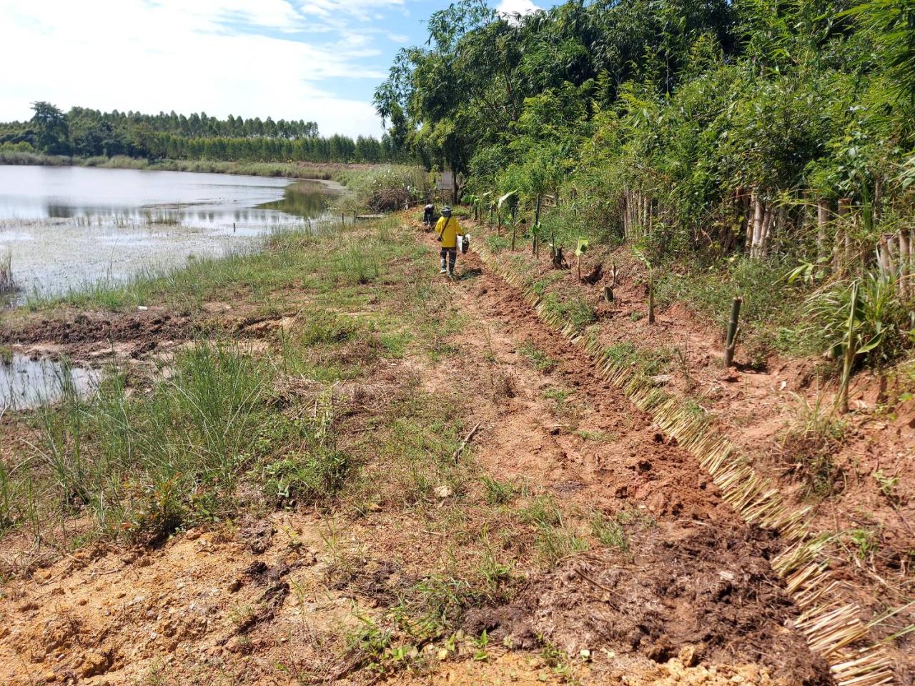 ภาพประกอบที่ 4