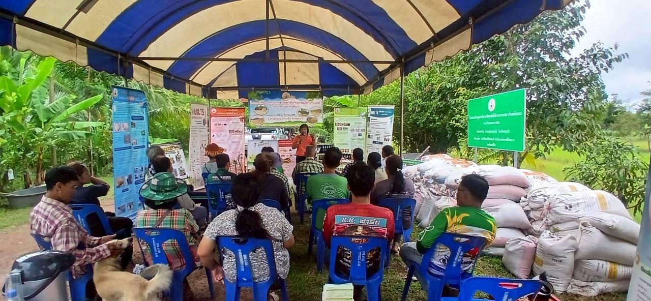 ภาพประกอบที่ 1