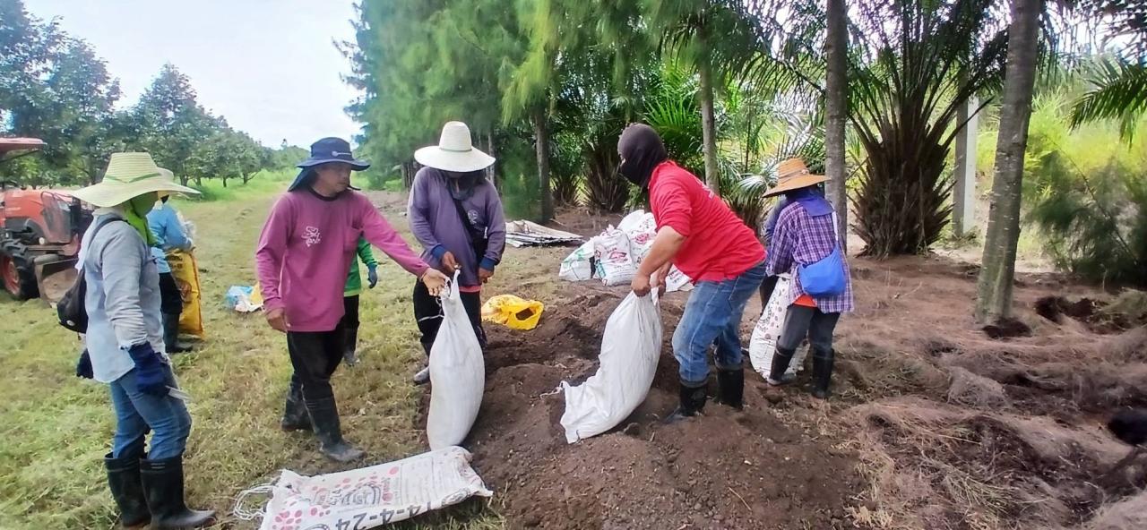 ภาพประกอบที่ 1