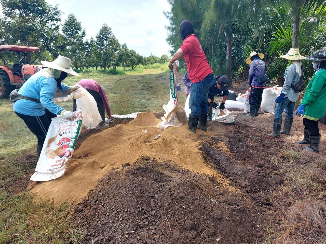 ภาพประกอบที่ 4