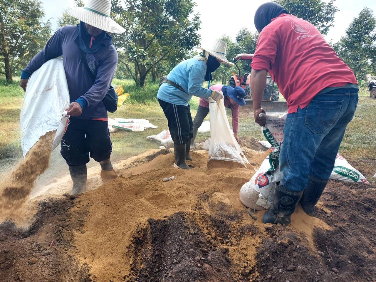ภาพประกอบที่ 5