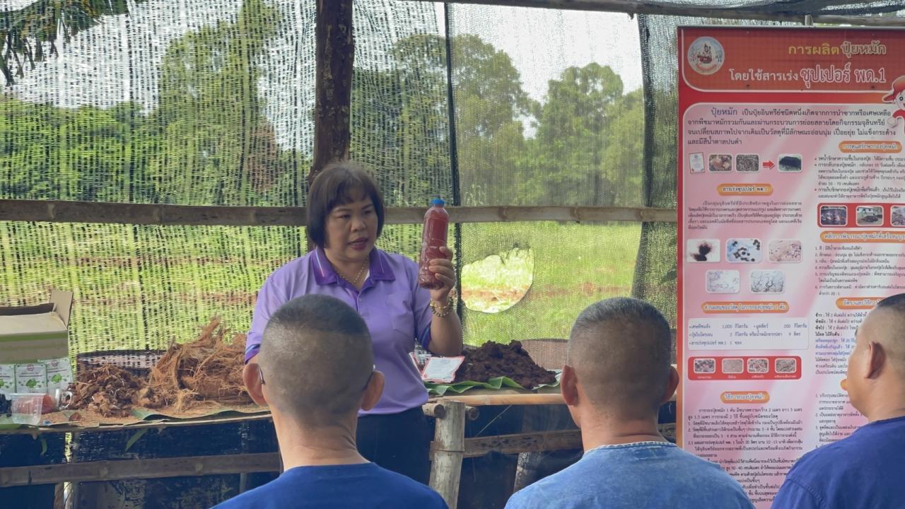 ภาพประกอบที่ 5