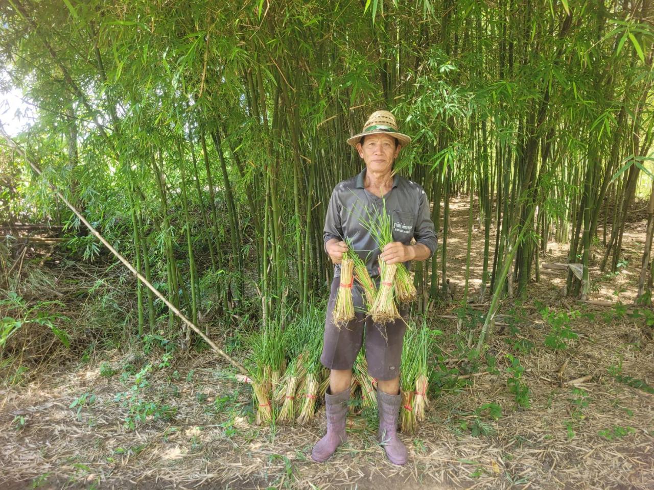 ภาพประกอบที่ 0