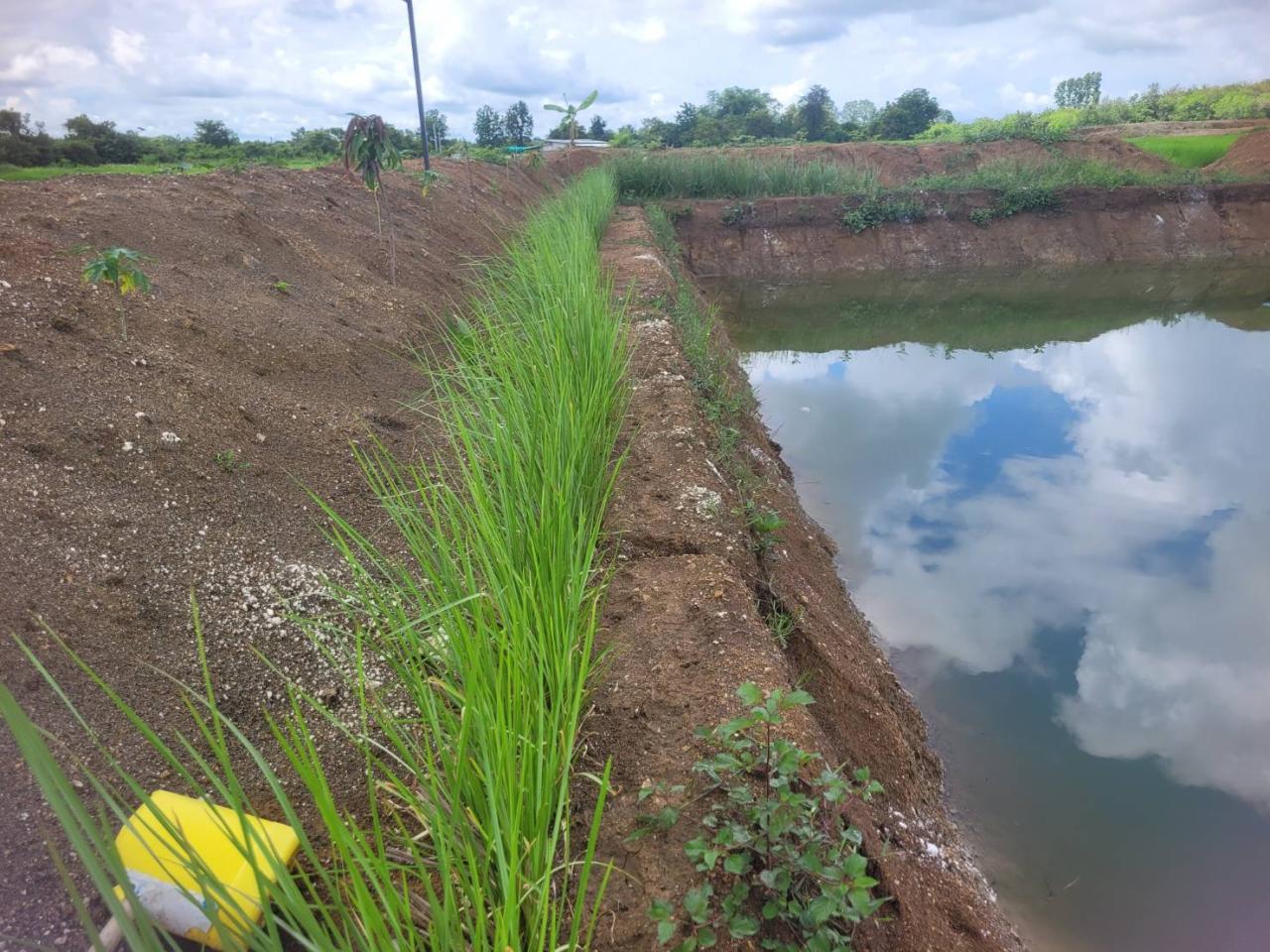 ภาพประกอบที่ 4