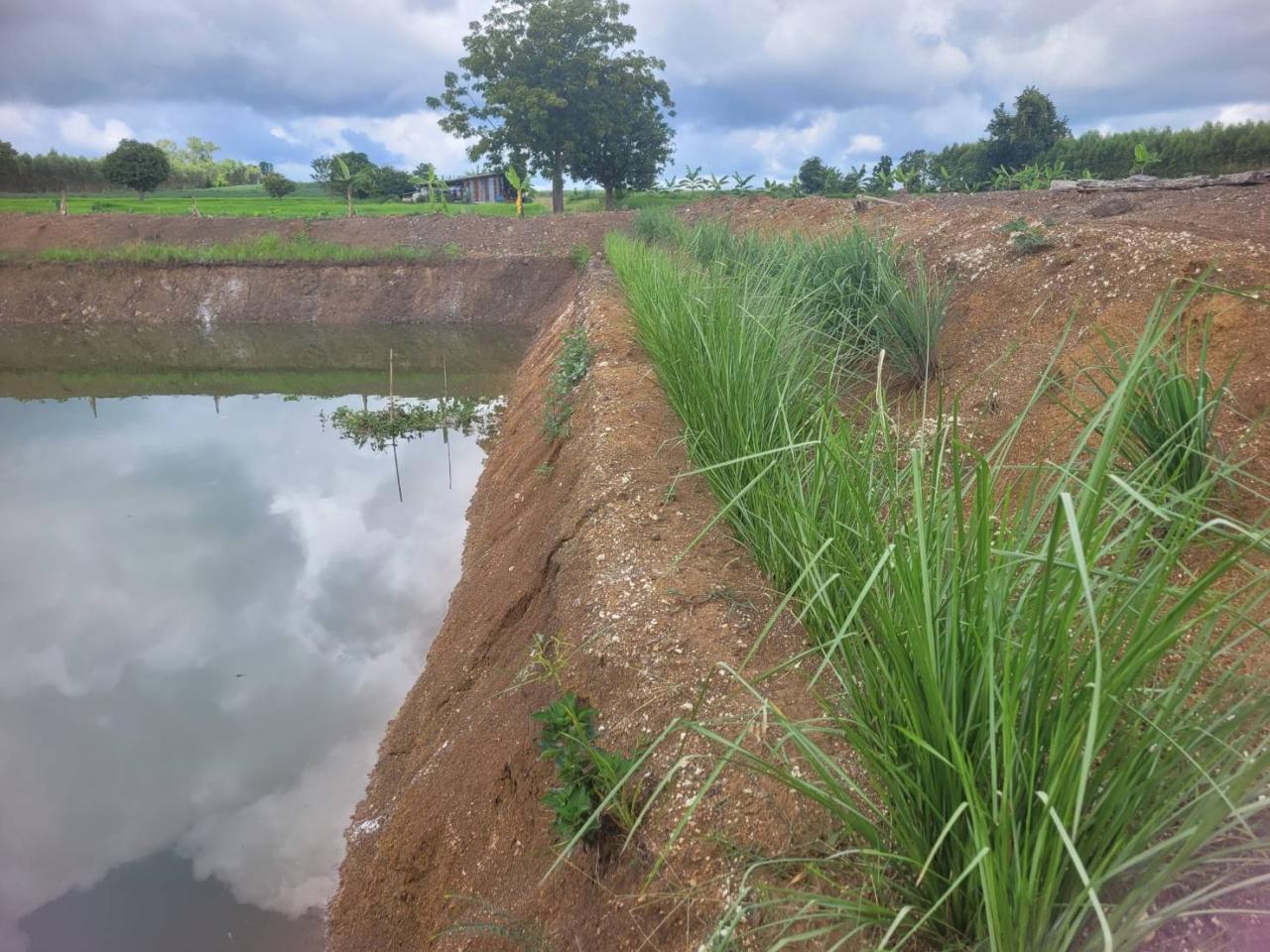 ภาพประกอบที่ 5