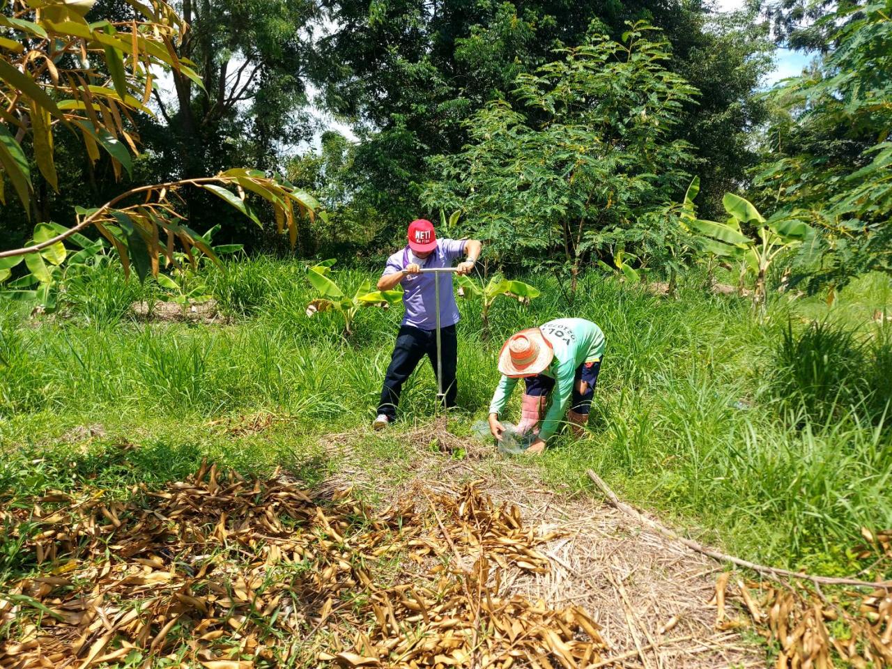 ภาพประกอบที่ 2