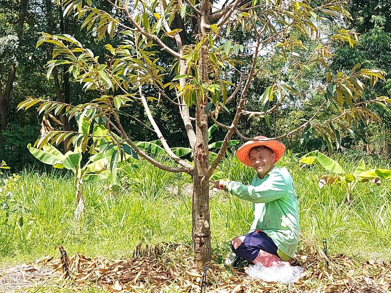 ภาพประกอบที่ 3