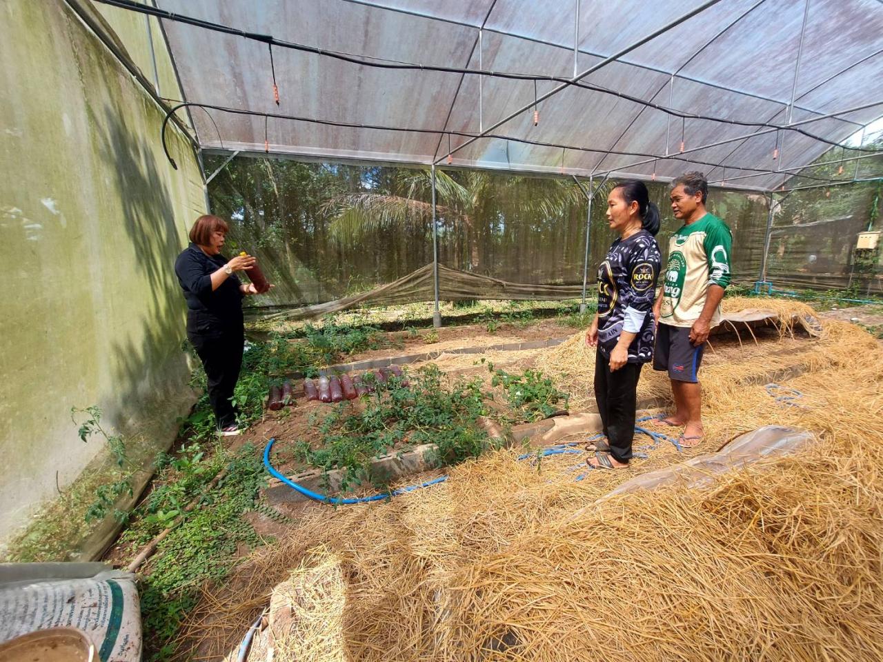 ภาพประกอบที่ 0