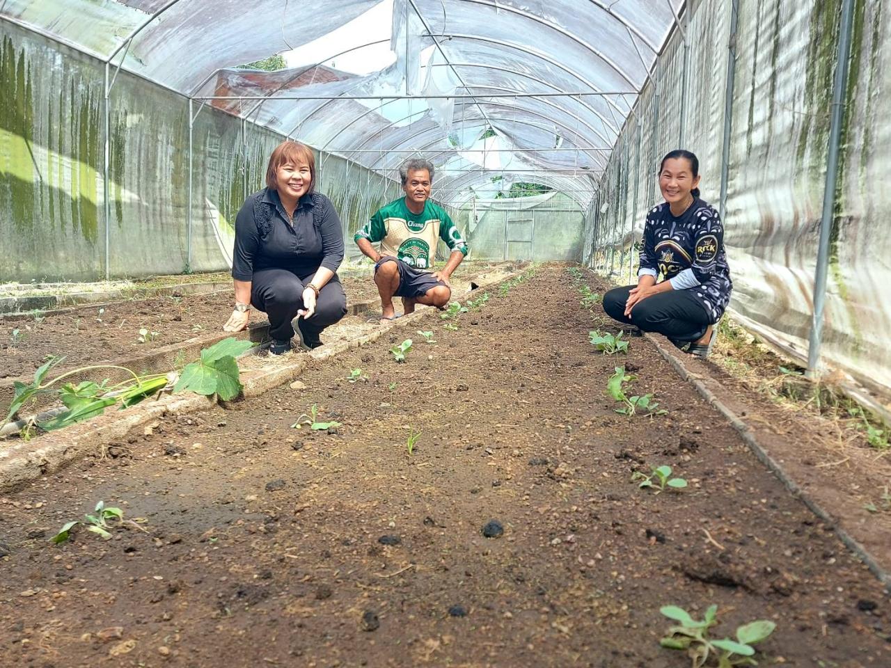 ภาพประกอบที่ 1