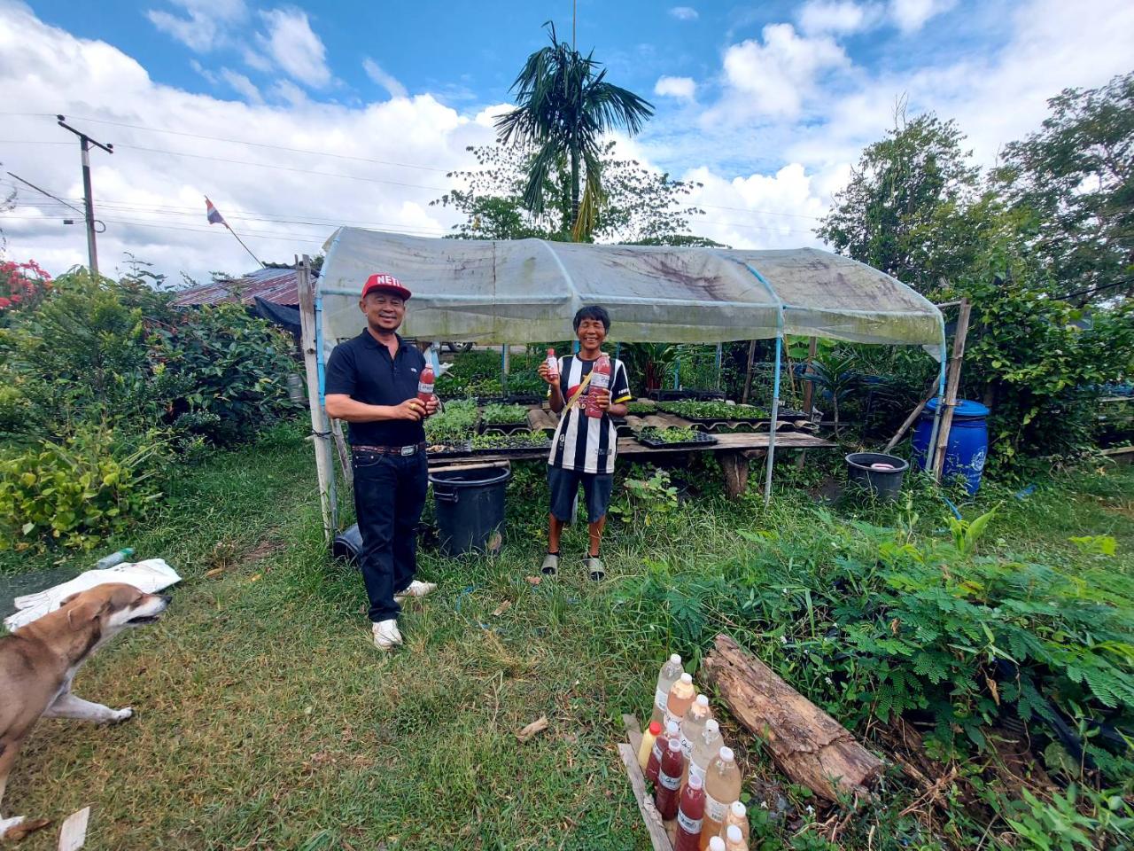 ภาพประกอบที่ 2