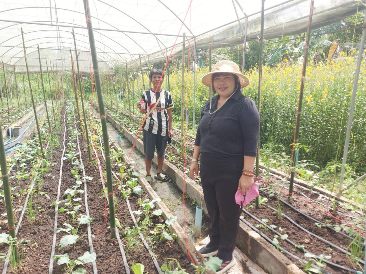 ภาพประกอบที่ 3