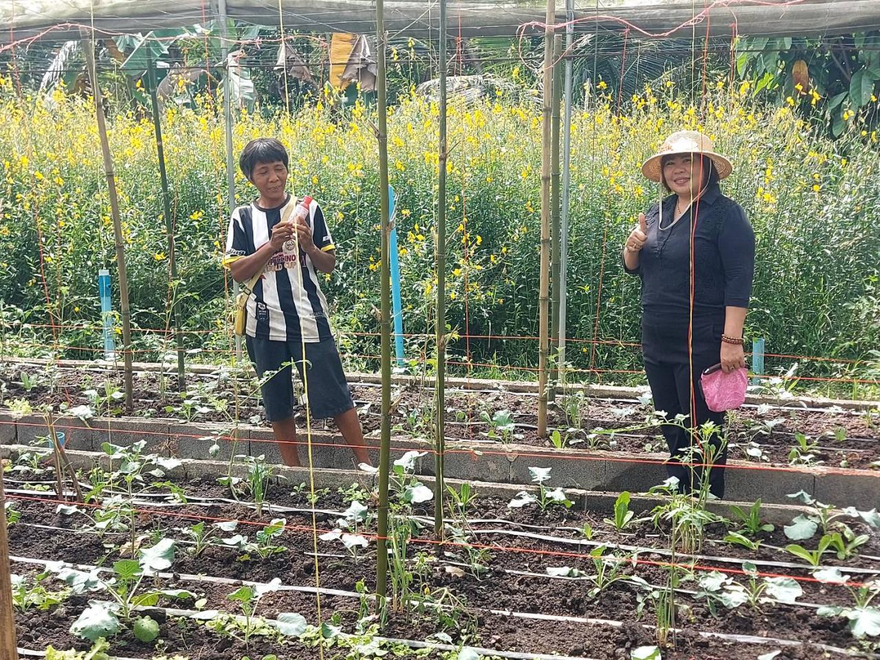 ภาพประกอบที่ 4