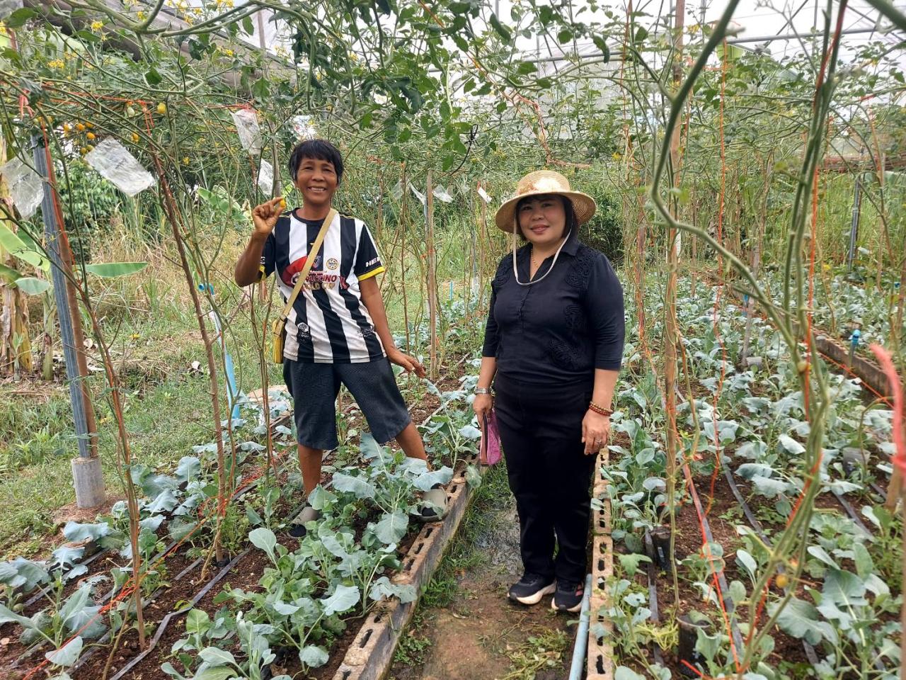 ภาพประกอบที่ 5
