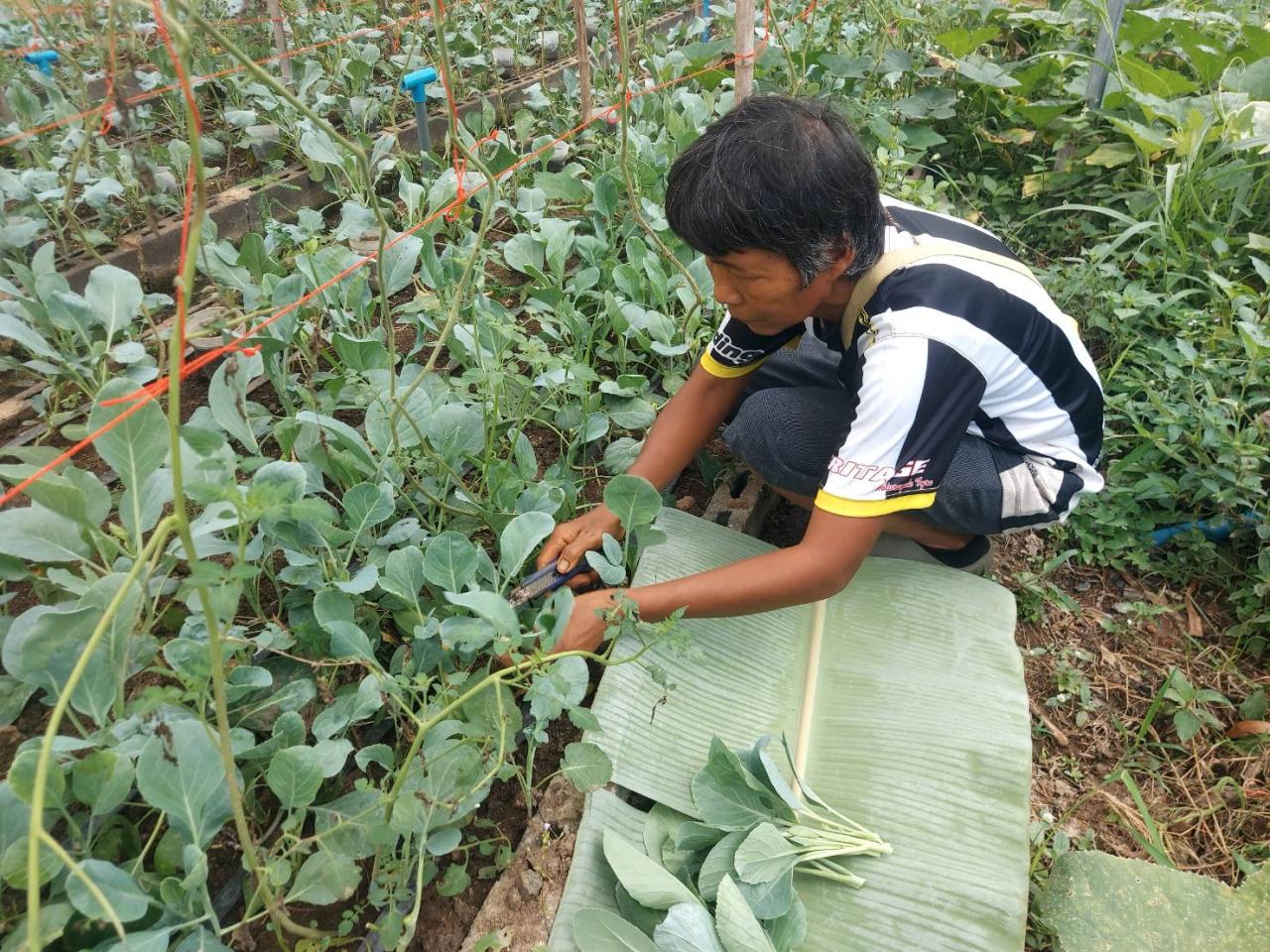 ภาพประกอบที่ 6
