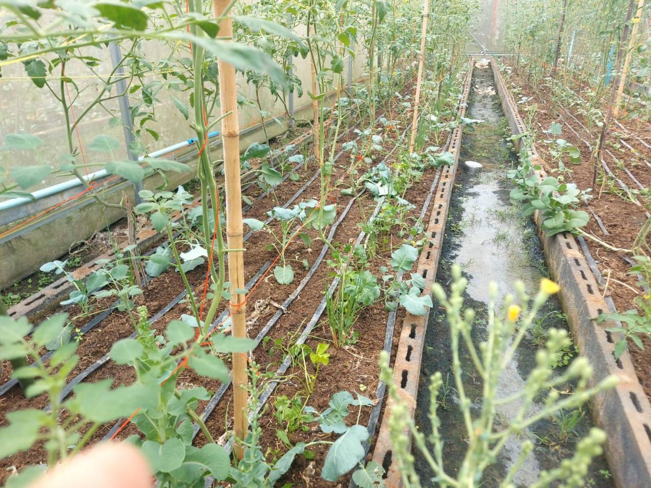 ภาพประกอบที่ 9