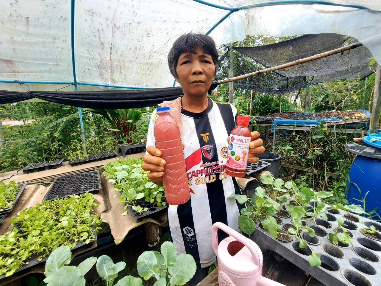 ภาพประกอบที่ 0