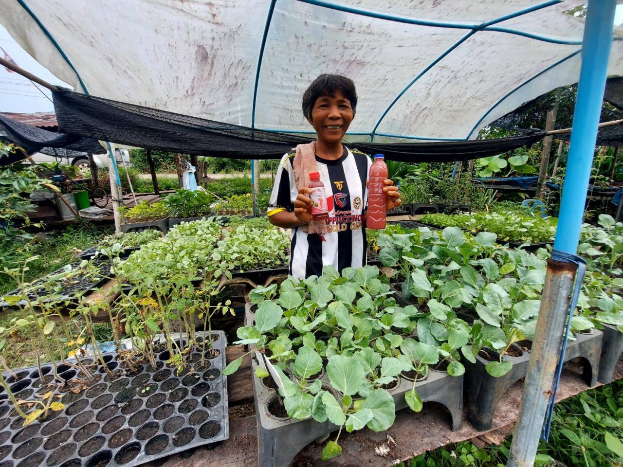 ภาพประกอบที่ 1