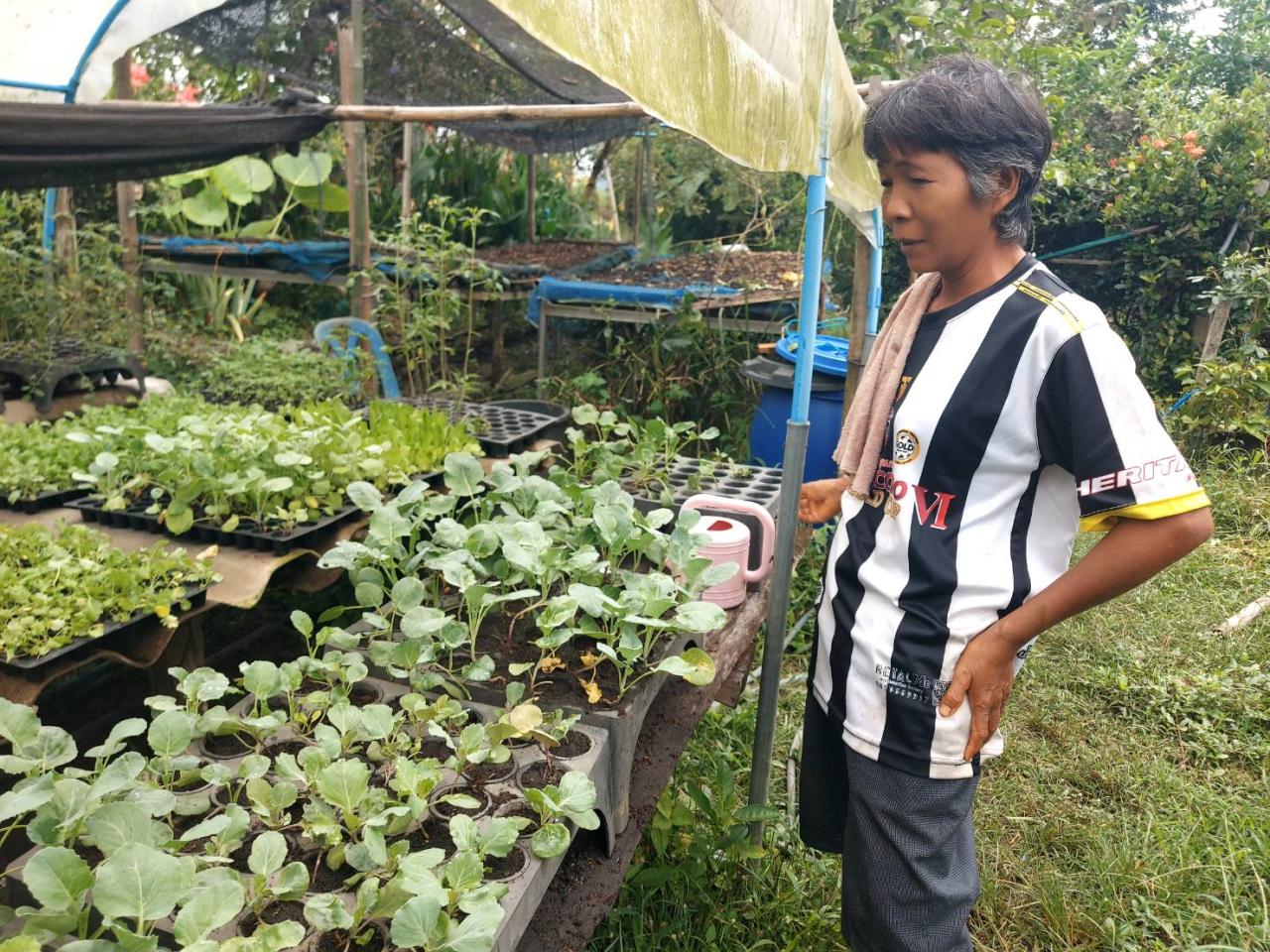 ภาพประกอบที่ 2