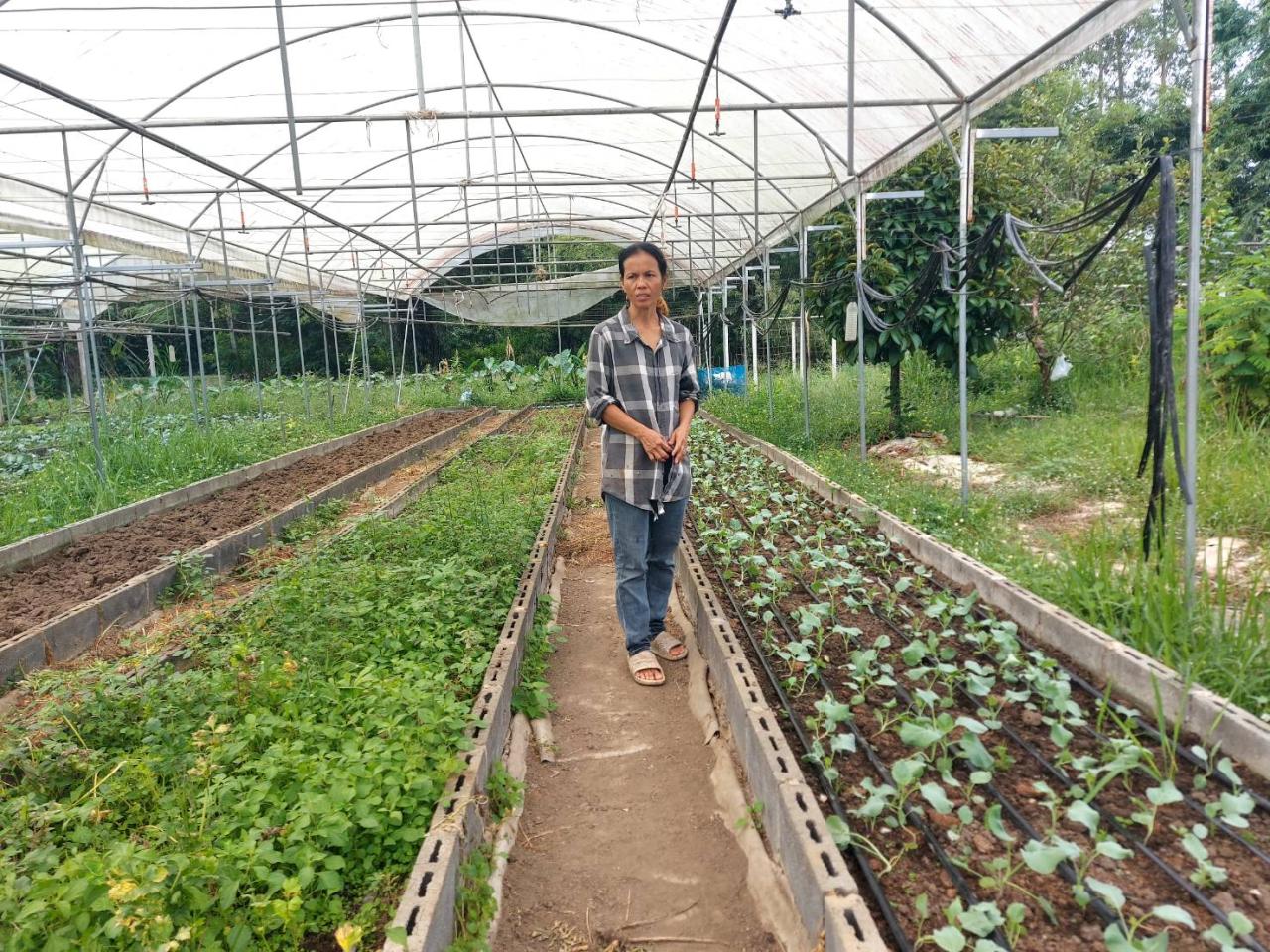 ภาพประกอบที่ 4