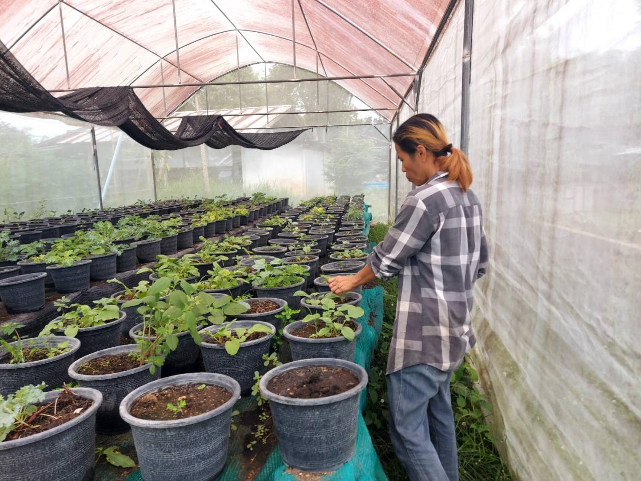 ภาพประกอบที่ 5