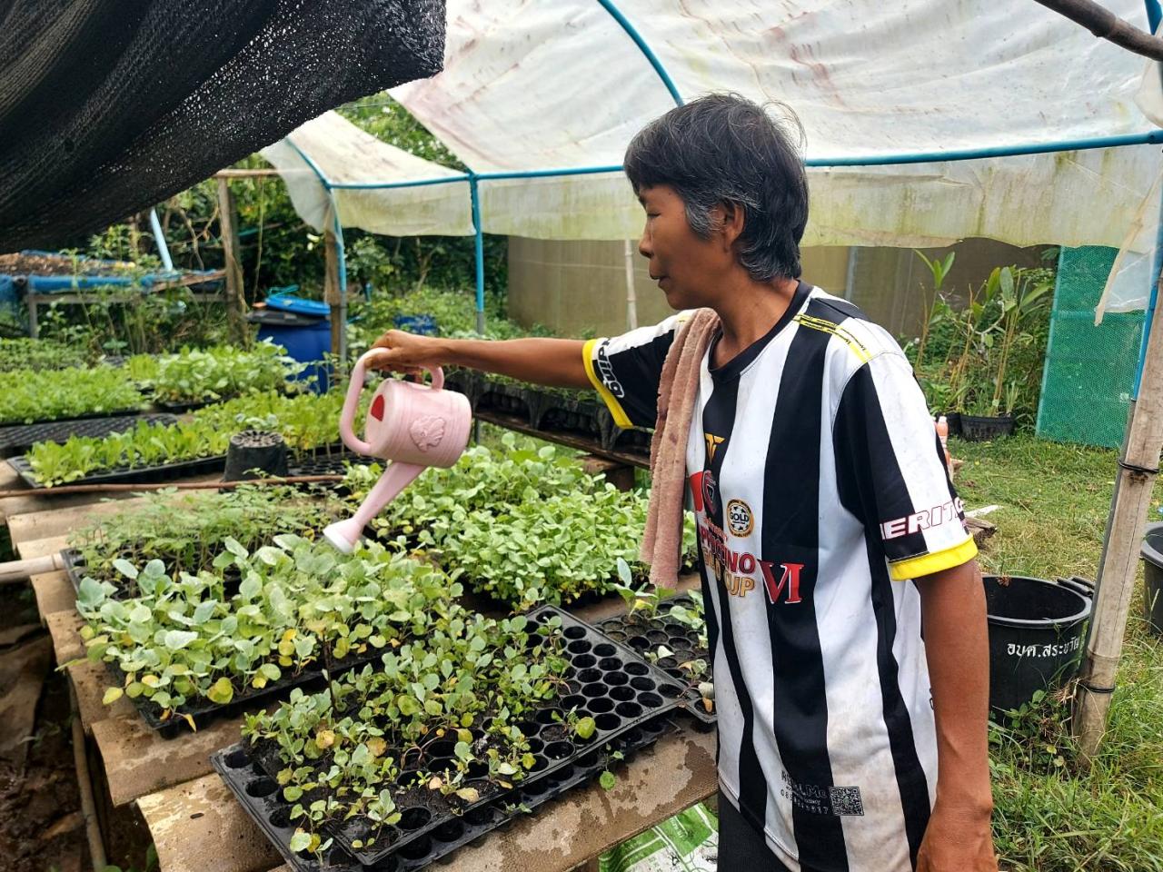 ภาพประกอบที่ 7