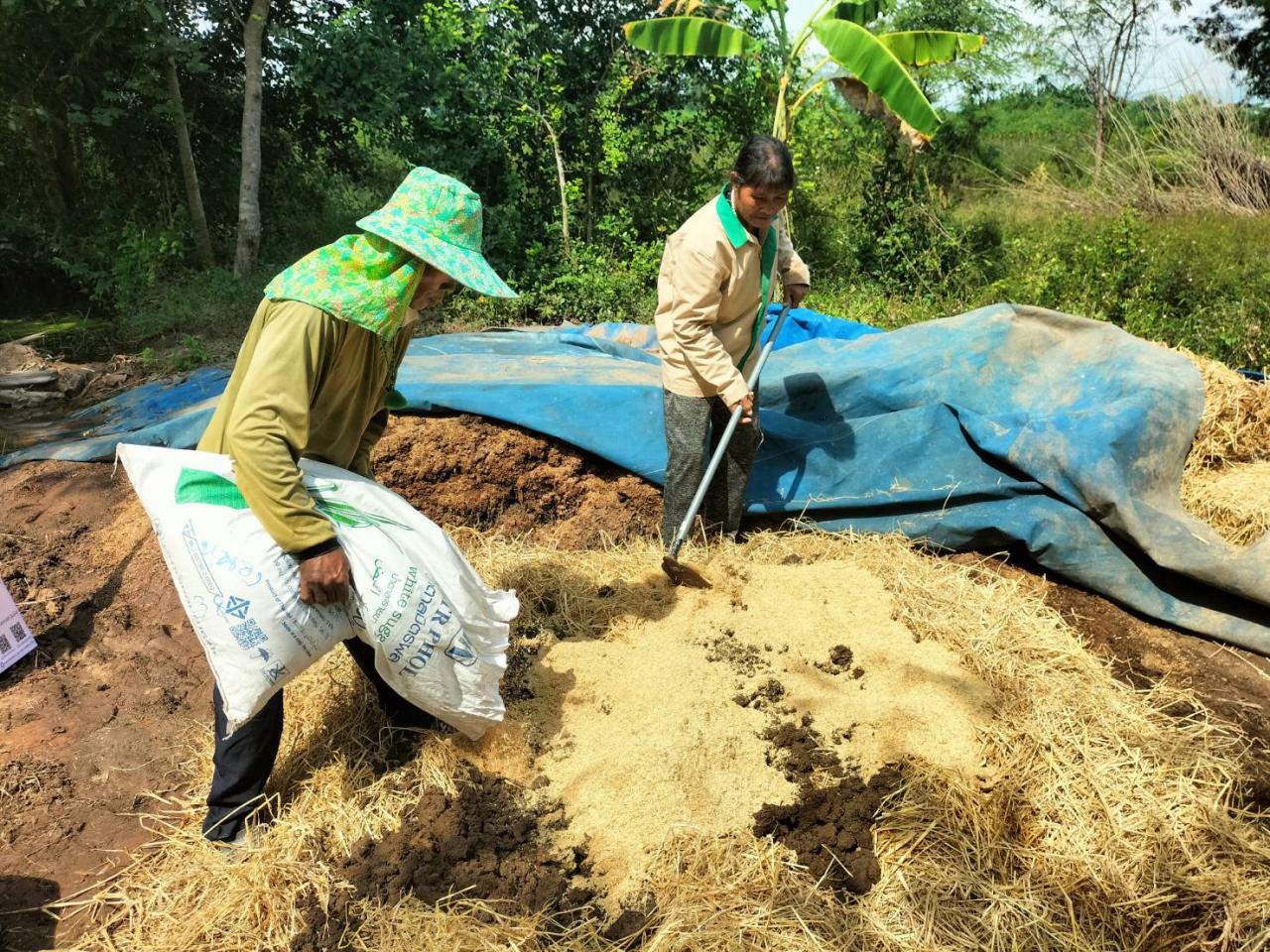 ภาพประกอบที่ 1