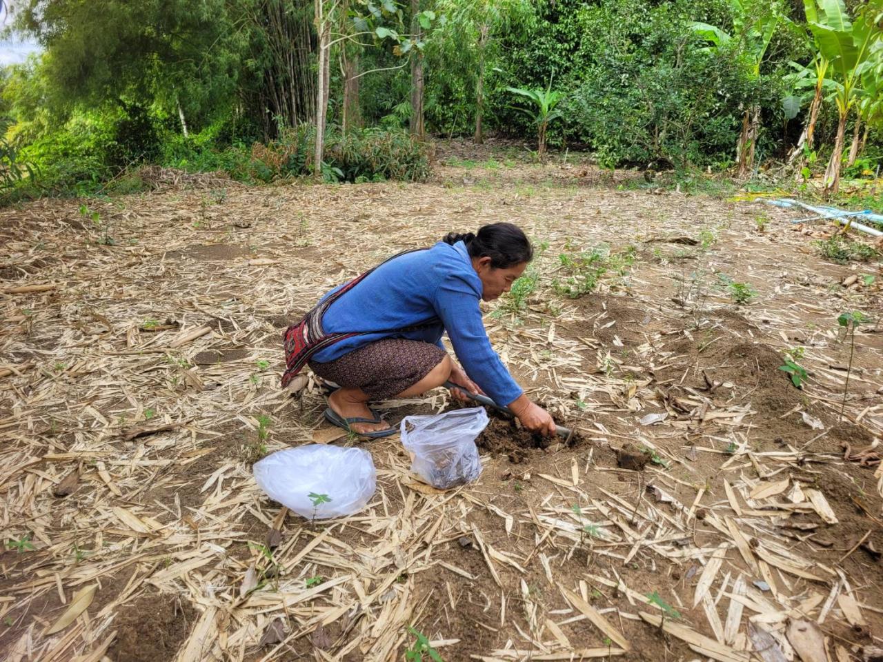 ภาพประกอบที่ 2