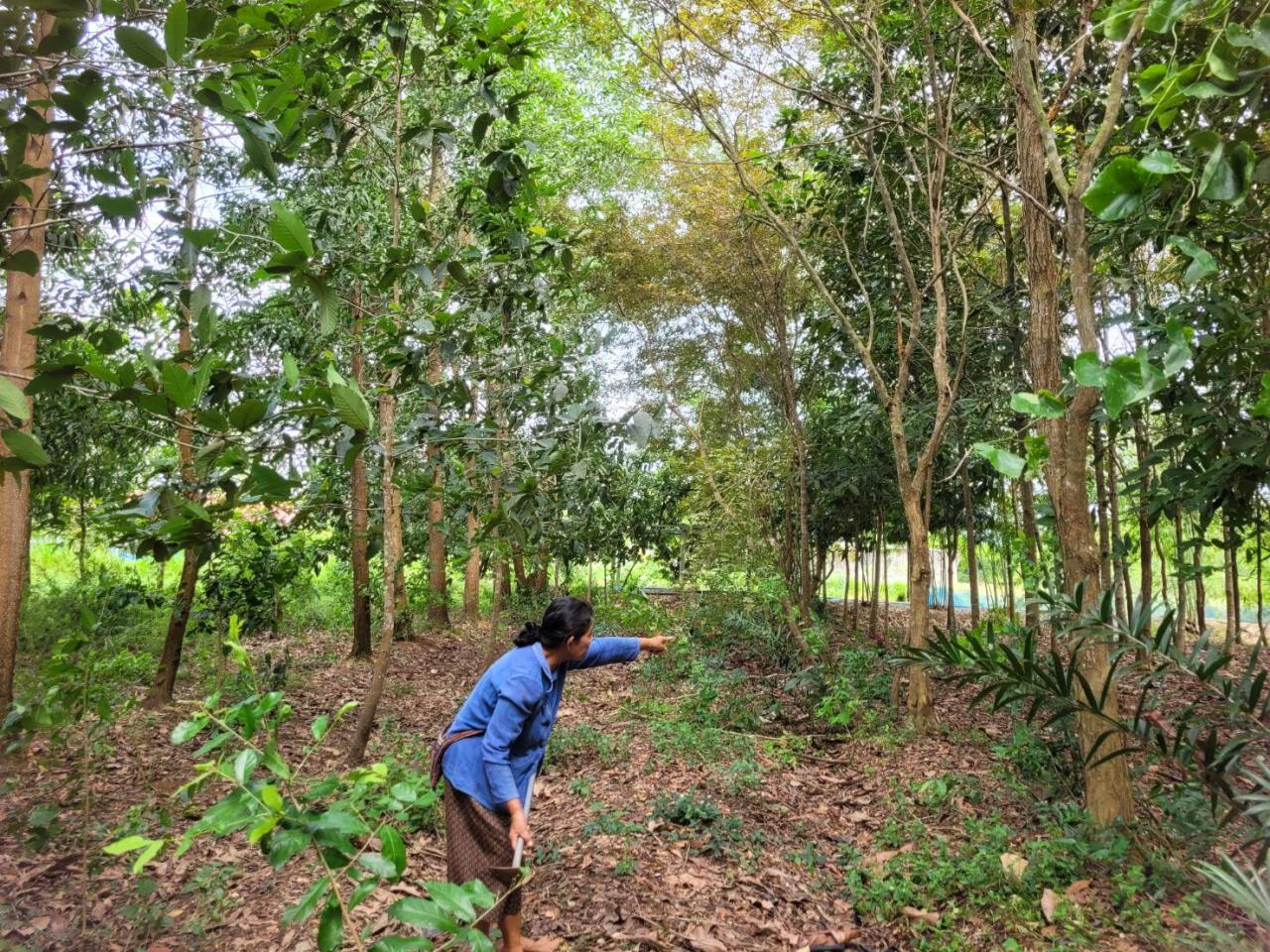 ภาพประกอบที่ 4