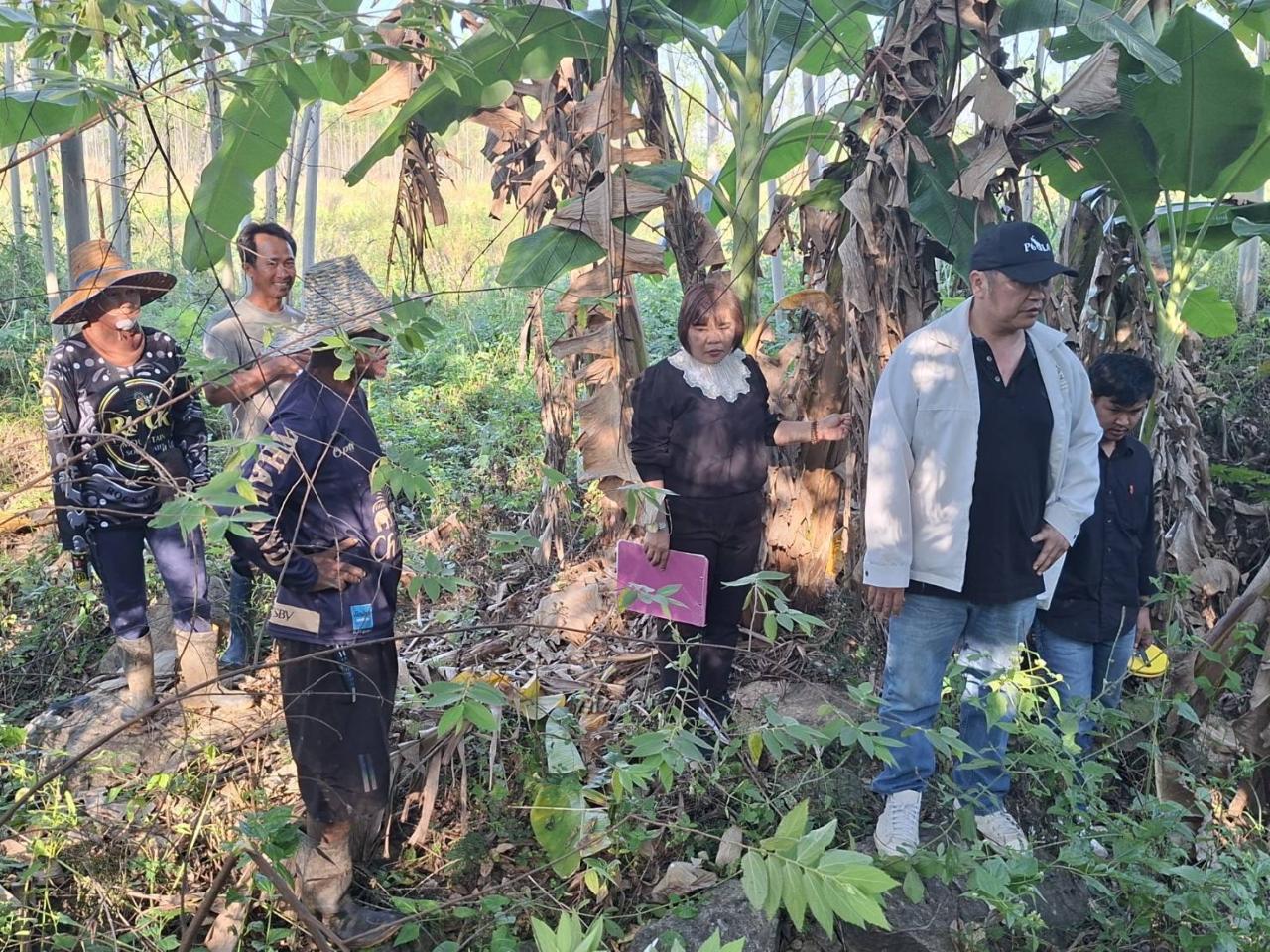 ภาพประกอบที่ 1