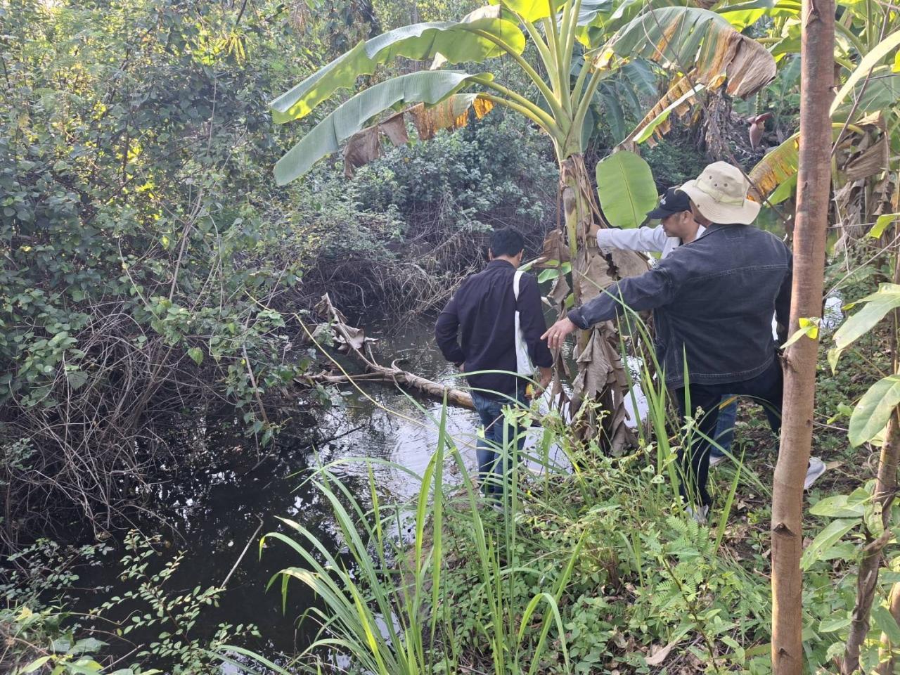 ภาพประกอบที่ 2