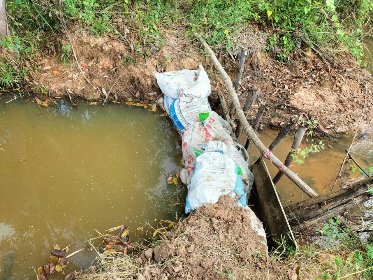 ภาพประกอบที่ 0