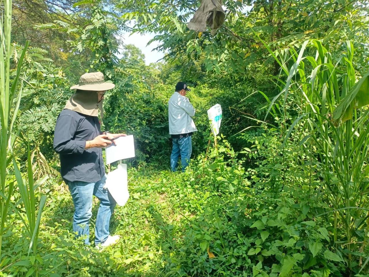 ภาพประกอบที่ 0