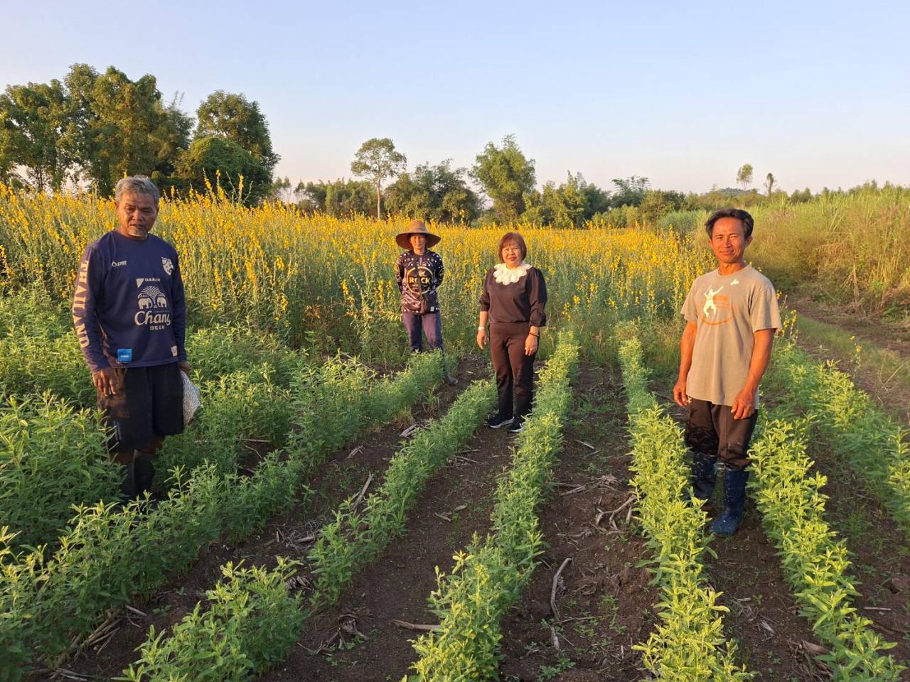 ภาพประกอบที่ 6