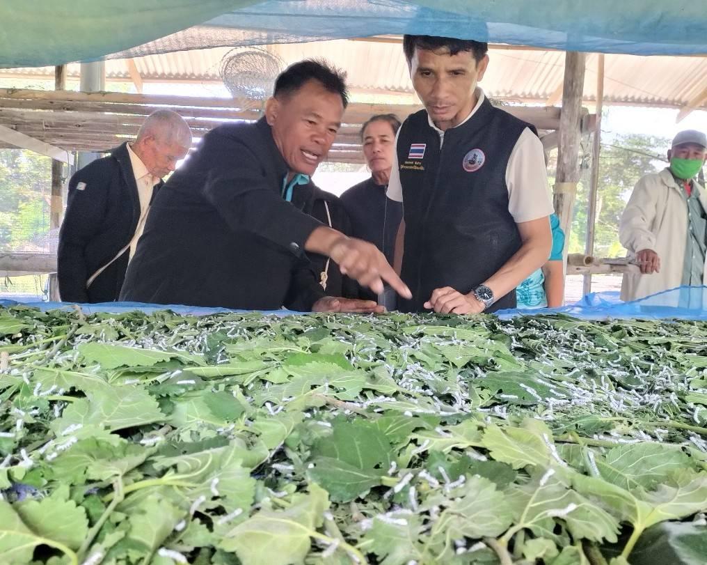 ภาพประกอบที่ 1