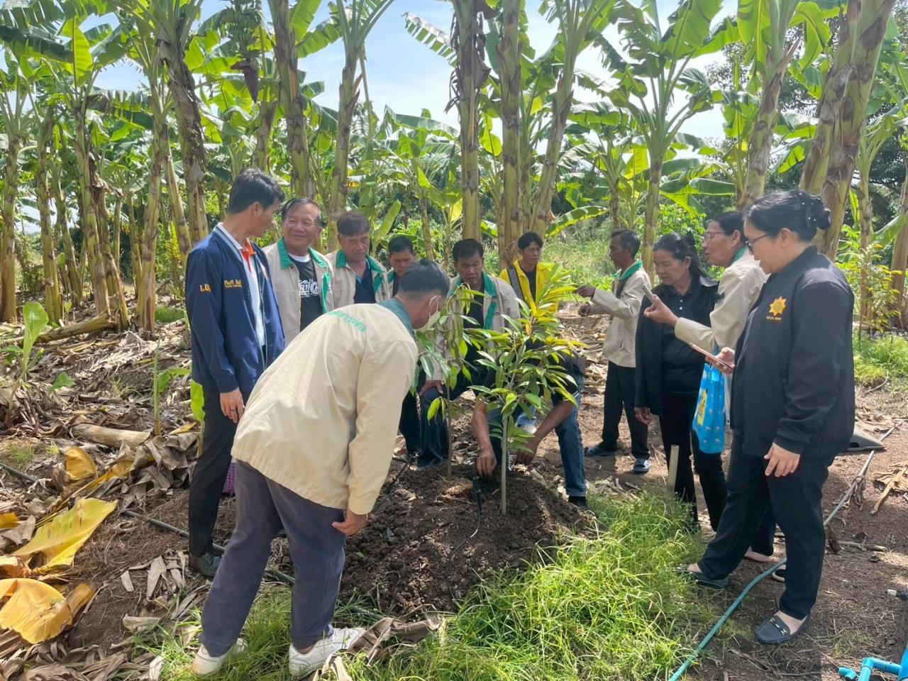 ภาพประกอบที่ 7