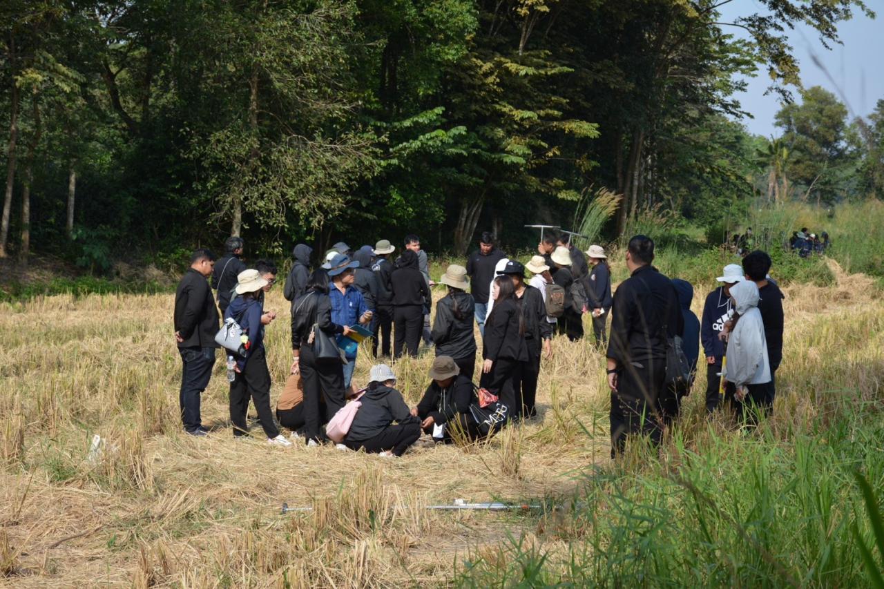 ภาพประกอบที่ 4