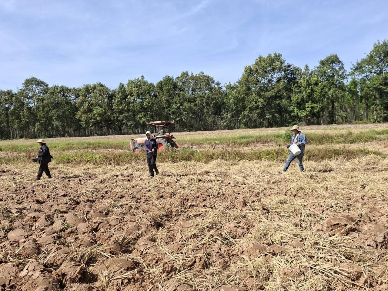 ภาพประกอบที่ 3