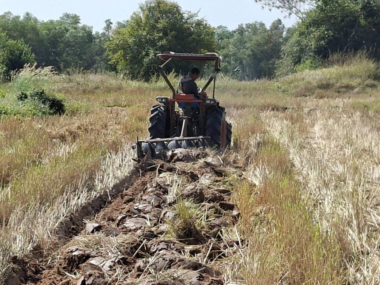ภาพประกอบที่ 5