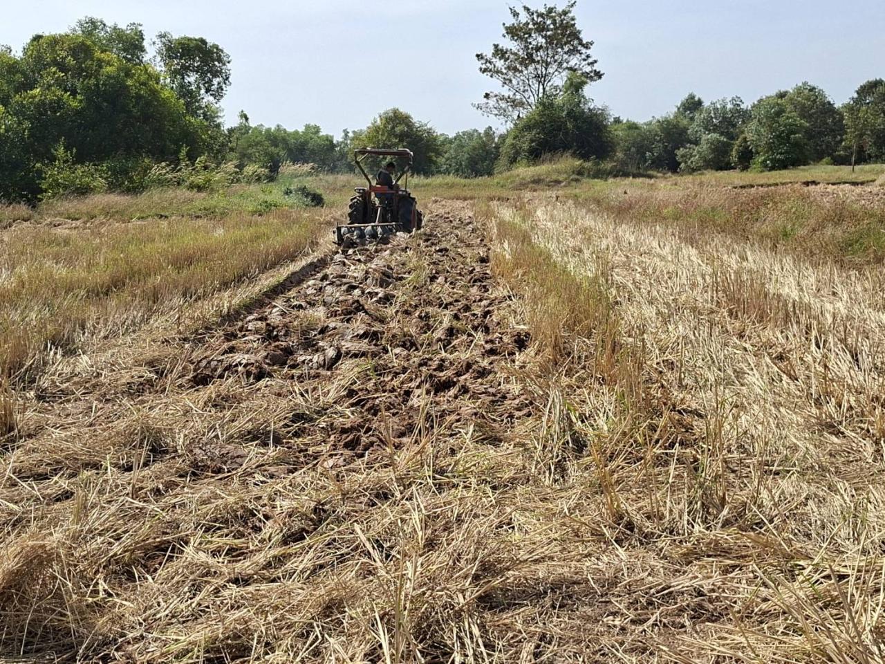 ภาพประกอบที่ 7