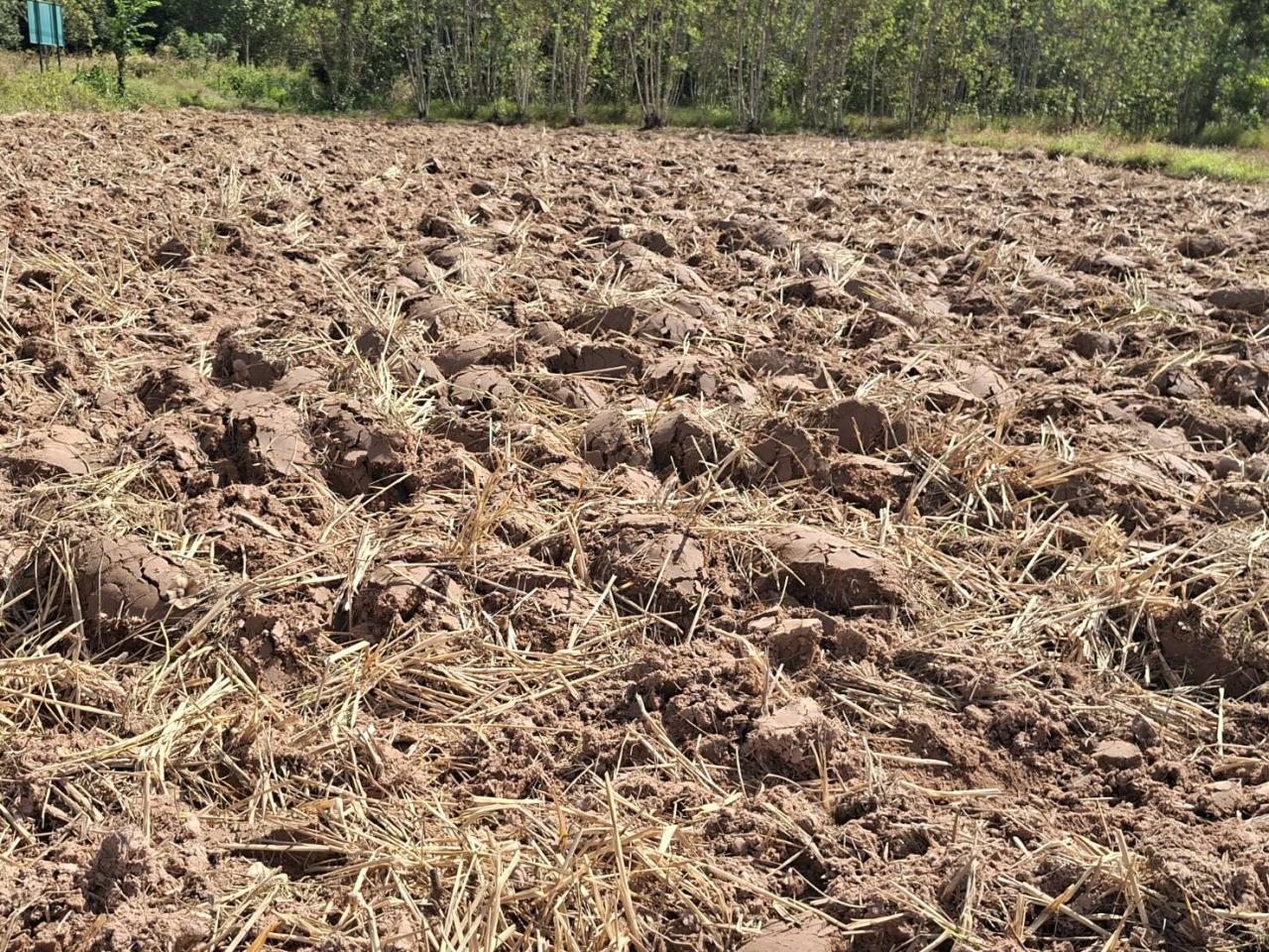 ภาพประกอบที่ 8