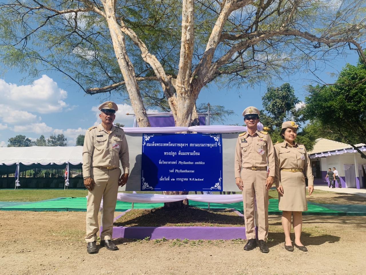 ภาพประกอบที่ 5