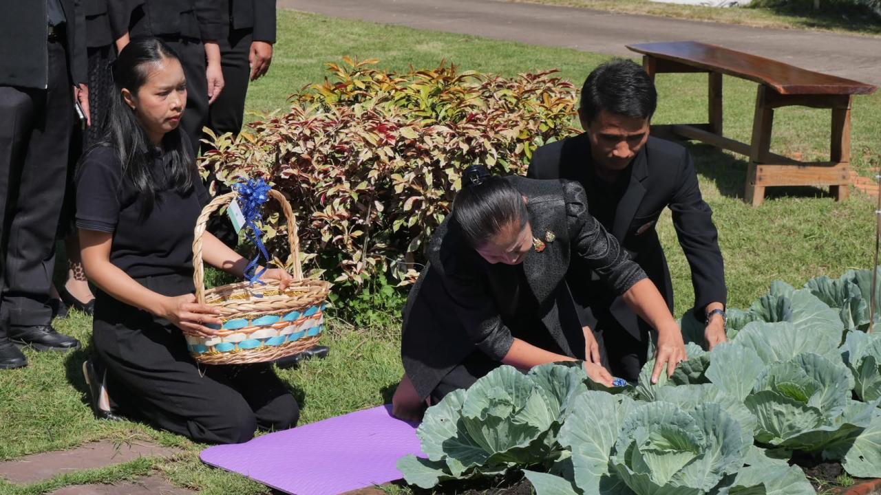 ภาพประกอบที่ 18