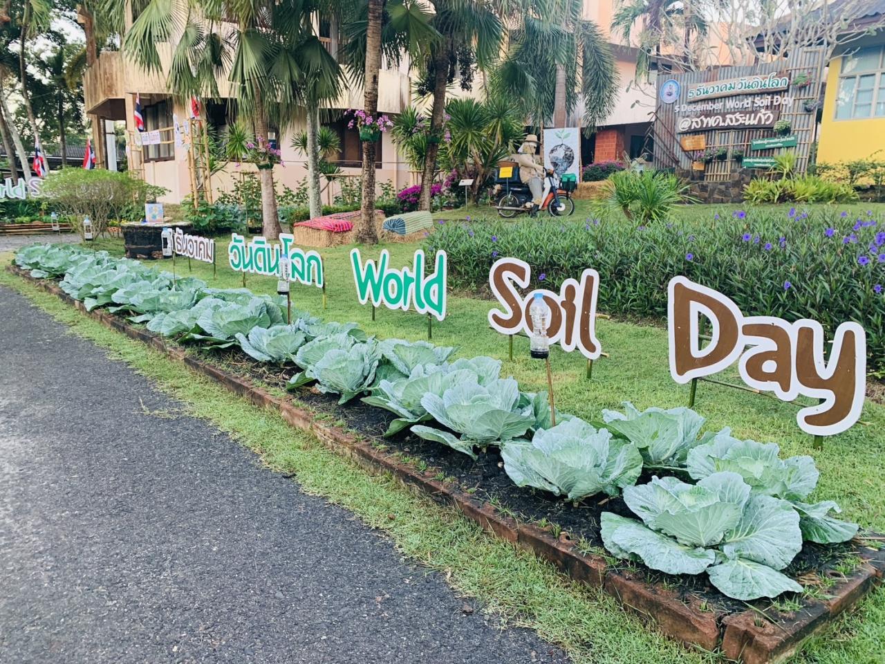 ภาพประกอบที่ 23