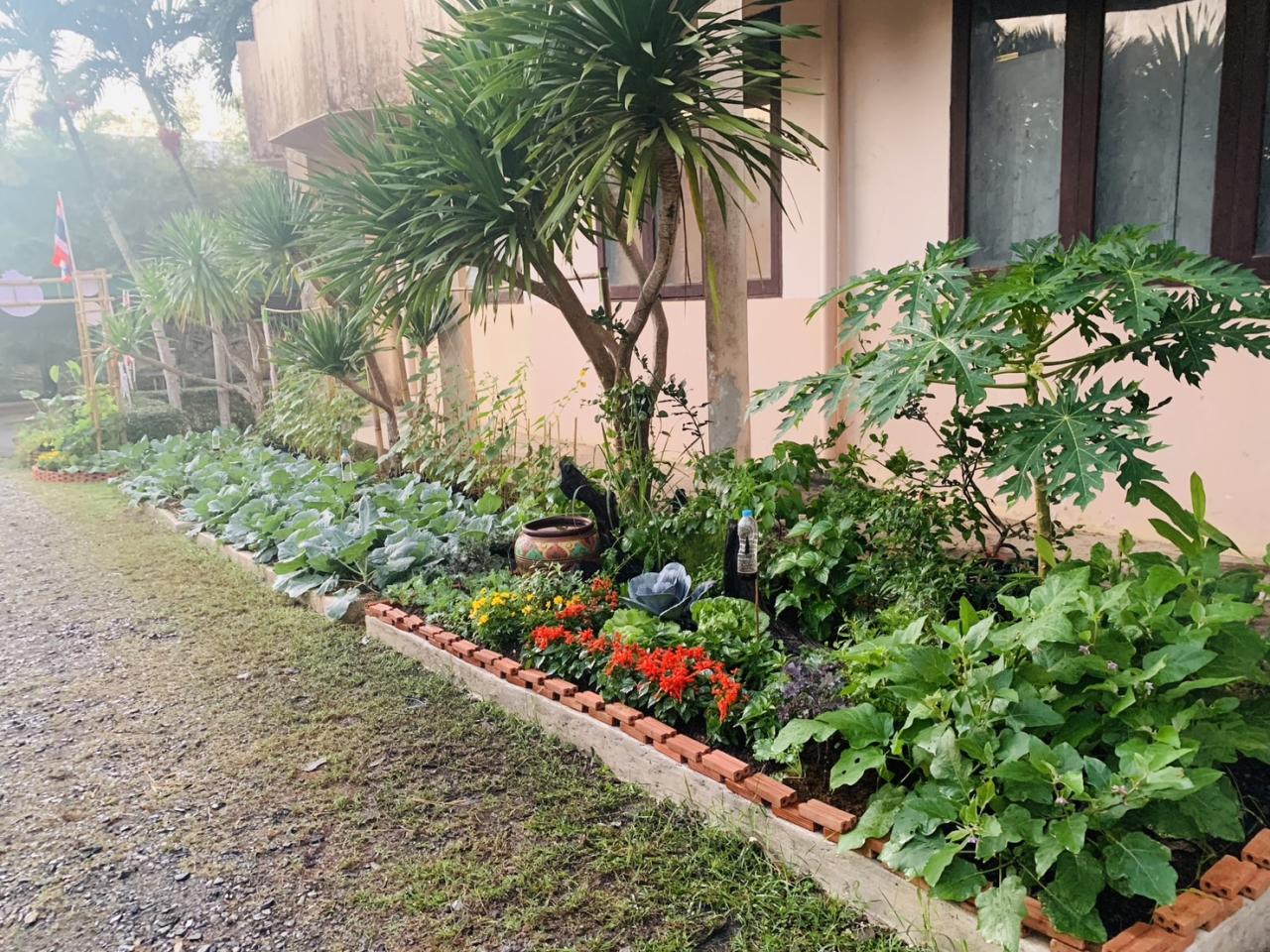 ภาพประกอบที่ 31